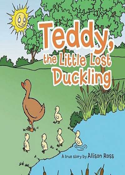 Teddy, the Little Lost Duckling, Paperback/Allison Ross