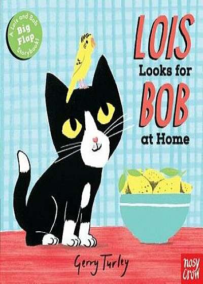 Lois Looks for Bob at Home/Nosy Crow