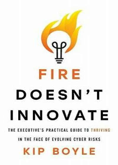 Fire Doesn't Innovate: The Executive's Practical Guide to Thriving in the Face of Evolving Cyber Risks, Paperback/Kip Boyle