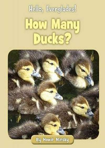 How Many Ducks?, Paperback/Howie Minsky