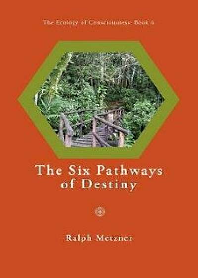 The Six Pathways of Destiny, Paperback/Ralph Metzner