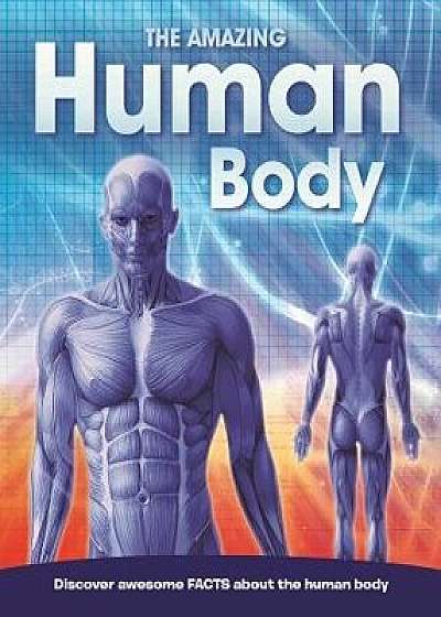 The Amazing Human Body, Hardcover/Igloo Books