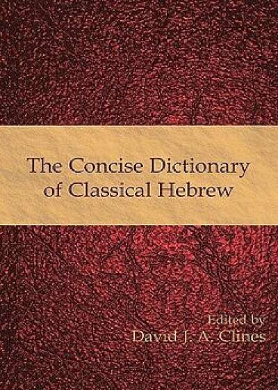 The Concise Dictionary of Classical Hebrew, Paperback/David J. a. Clines