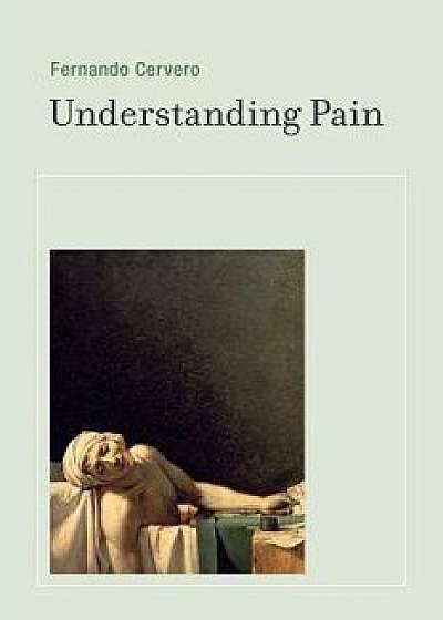 Understanding Pain: Exploring the Perception of Pain, Paperback/Fernando Cervero