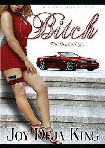 Bitch the Beginning, Paperback/Joy Deja King