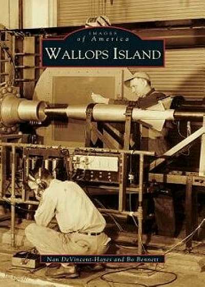 Wallops Island, Hardcover/Nan Devincent Hayes
