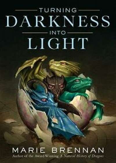 Turning Darkness Into Light, Hardcover/Marie Brennan