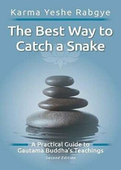 The Best Way to Catch a Snake: A Practical Guide to Gautama Buddha's Teachings, Paperback/Karma Yeshe Rabgye