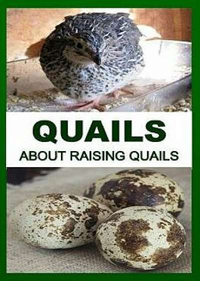 Quails: About Raising Quails, Paperback/F. Otieno