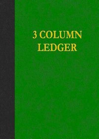 3 Column Ledger: 100 Pages, Paperback/Ij Publishing LLC