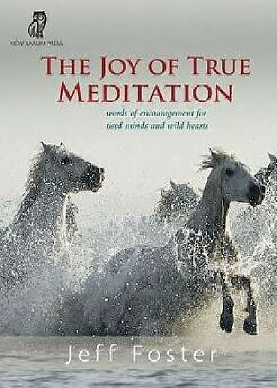 The joy of True Meditation: Words of Encouragement for Tired Minds and Wild Hearts, Paperback/Jeff Foster