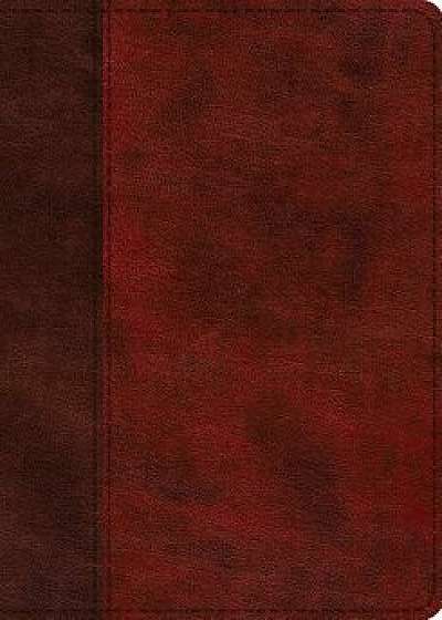 ESV Study Bible (Trutone, Burgundy/Red, Timeless Design)/***