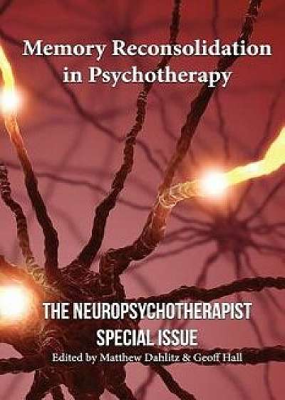 Memory Reconsolidation in Psychotherapy: The Neuropsychotherapist Special Issue, Paperback/Bruce Ecker