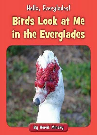 Birds Look at Me in the Everglades, Paperback/Howie Minsky