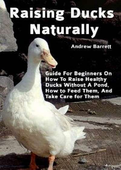 Raising Ducks Naturally: Guide for Beginners on How to Raise Healthy Ducks Without a Pond, How to Feed Them, and Take Care for Them, Paperback/Andrew Barrett