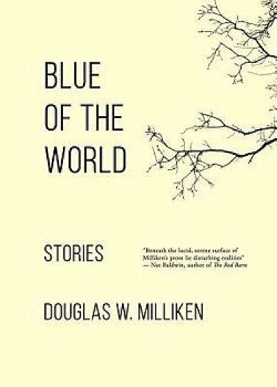 Blue of the World: Stories, Paperback/Douglas W. Milliken