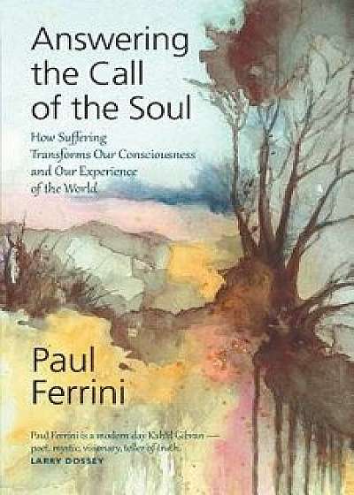 Answering the Call of the Soul: How Suffering Transforms Our Consciousness and Our Experience of the World, Paperback/Paul Ferrini