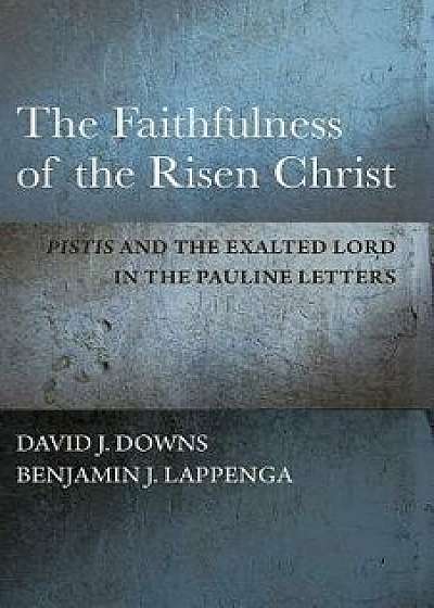 The Faithfulness of the Risen Christ: Pistis and the Exalted Lord in the Pauline Letters, Hardcover/David J. Downs
