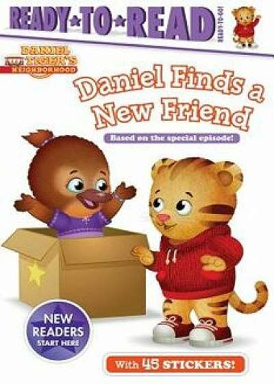 Daniel Finds a New Friend, Paperback/Maggie Testa
