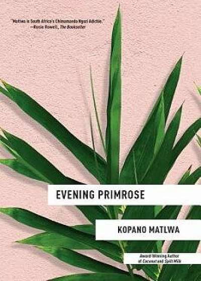 Evening Primrose, Paperback/Kopano Matlwa
