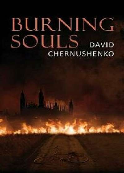 Burning Souls, Paperback/Chernushenko David