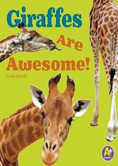 Giraffes Are Awesome!, Paperback/Lisa J. Amstutz