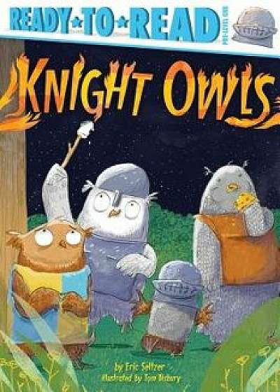 Knight Owls, Paperback/Eric Seltzer