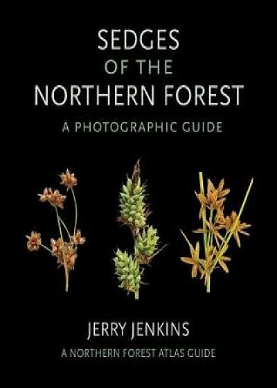 Sedges of the Northern Forest: A Photographic Guide, Paperback/Jerry Jenkins