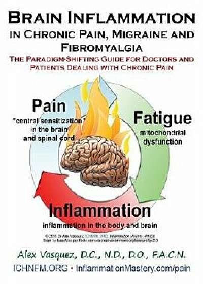 Brain Inflammation in Chronic Pain, Migraine and Fibromyalgia: The Paradigm-Shifting Guide for Doctors and Patients Dealing with Chronic Pain, Paperback/Alex Vasquez