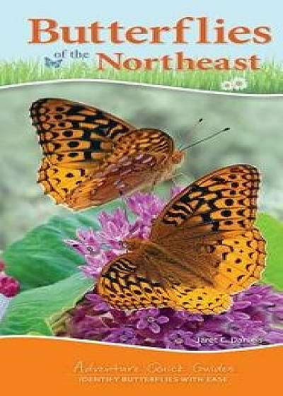 Butterflies of the Northeast/Jaret C. Daniels