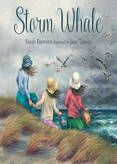 Storm Whale, Hardcover/Sarah Brennan