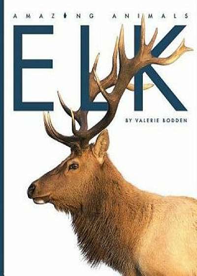Elk, Paperback/Valerie Bodden