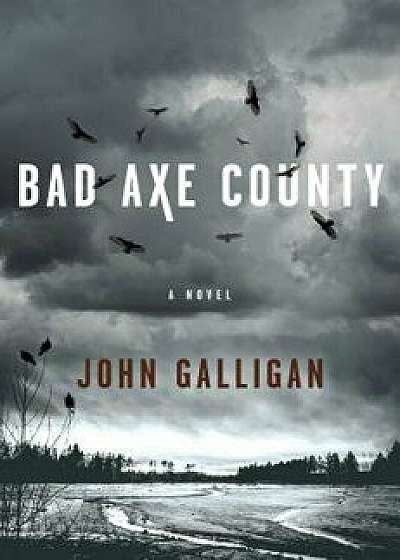 Bad Axe County, Hardcover/John Galligan
