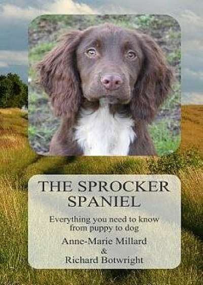 The Sprocker Spaniel: Everything You Need to Know from Puppy to Dog, Paperback/Anne-Marie Millard
