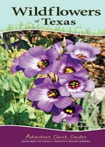 Wildflowers of Texas/George Miller