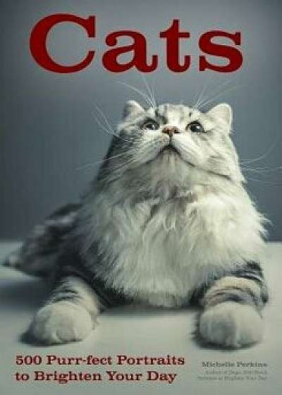 Cats: 500 Purr-Fect Portraits to Brighten Your Day, Paperback/Michelle Perkins