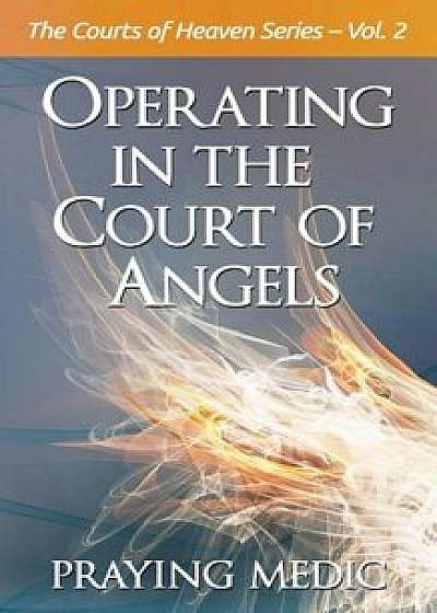 Operating in the Court of Angels, Paperback/Praying Medic