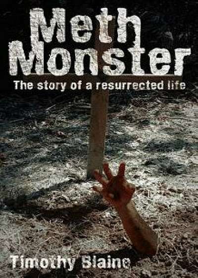 Meth Monster: The Story of a Resurrected Life, Paperback/Timothy Blaine