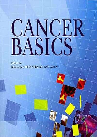 Cancer Basics, Paperback/Oncology Nursing Society