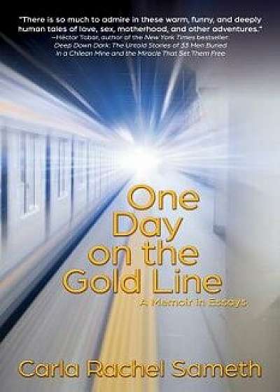 One Day on the Gold Line: A Memoir in Essays, Paperback/Carla Rachel Sameth