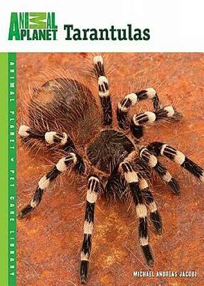 Tarantulas, Paperback/Michael Andreas Jacobi