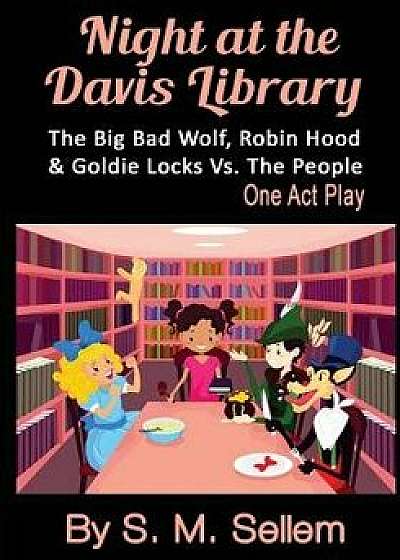 Kids Plays: Night at the Davis Library: The Big Bad Wolf, Robin Hood, & Goldie Locks Vs.the People, Paperback/S. M. Sellem
