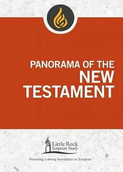 Panorama of the New Testament, Paperback/Stephen J. Binz