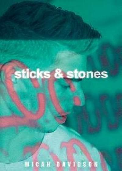 Sticks and Stones, Paperback/Micah Davidson