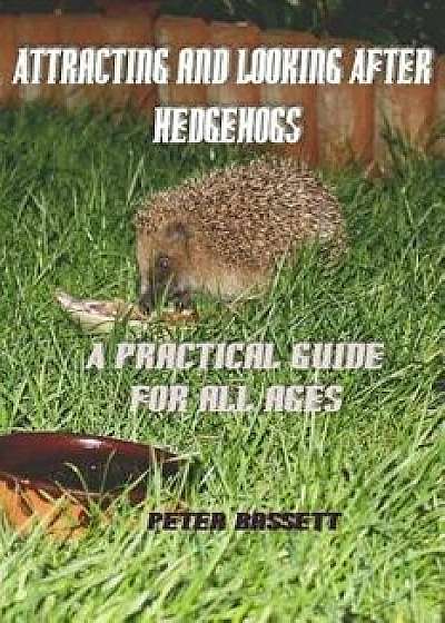 Attracting & Looking After Hedgehogs B&w: A Guide for All Ages, Paperback/Peter Bassett Fras