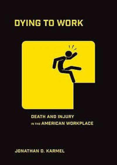 Dying to Work: Death and Injury in the American Workplace, Paperback/Jonathan D. Karmel