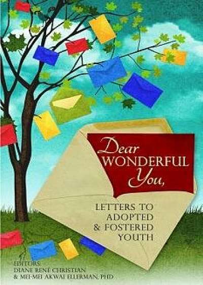 Dear Wonderful You, Letters to Adopted & Fostered Youth, Paperback/Diane Rene Christian