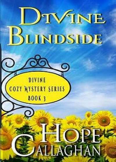 Divine Blindside: A Divine Cozy Mystery, Paperback/Hope Callaghan