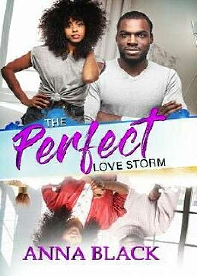 The Perfect Love Storm, Paperback/Anna Black