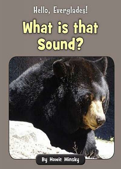 What Is That Sound?, Paperback/Howie Minsky